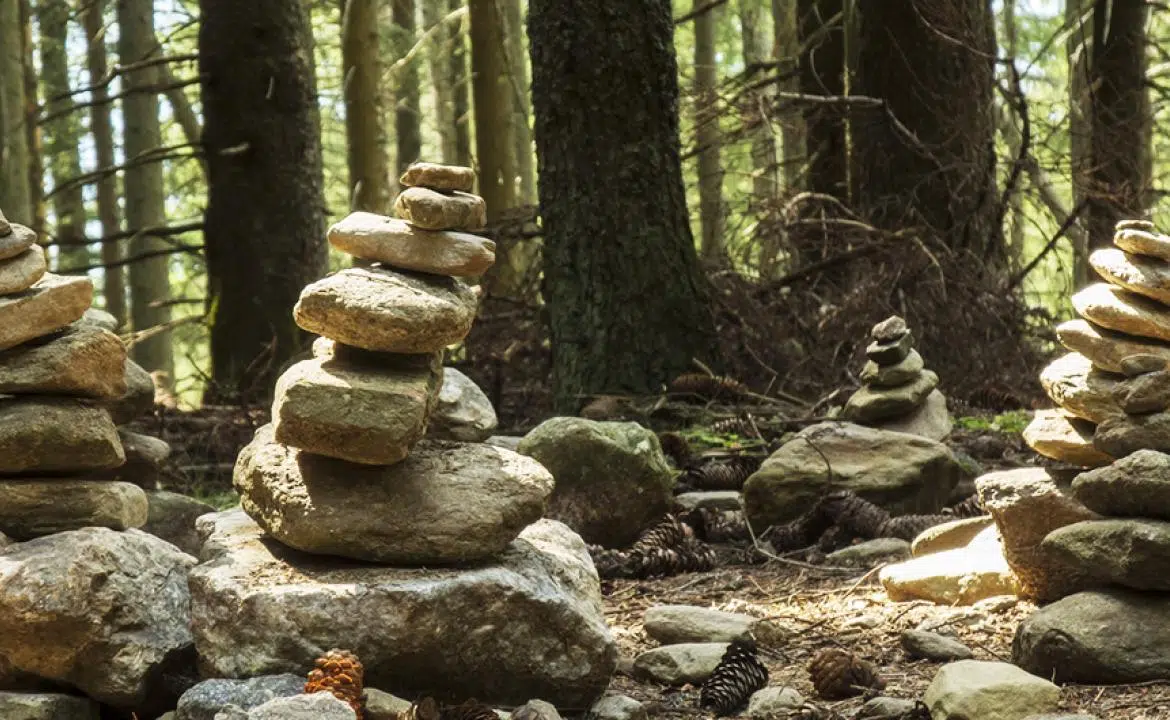 Des monticules de pierre dans la forêt de Brocéliande